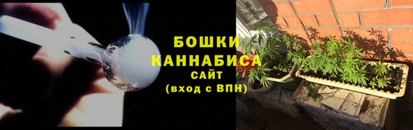 ГАЛЛЮЦИНОГЕННЫЕ ГРИБЫ Нязепетровск