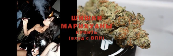 мдпв Няндома