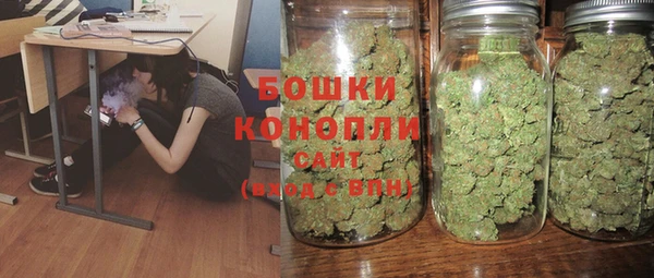 ГАЛЛЮЦИНОГЕННЫЕ ГРИБЫ Нязепетровск