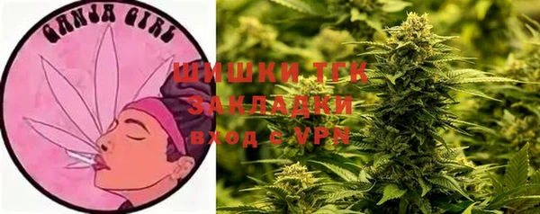 мдпв Няндома