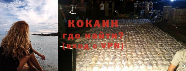 мдпв Няндома