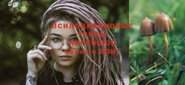 ГАЛЛЮЦИНОГЕННЫЕ ГРИБЫ Нязепетровск