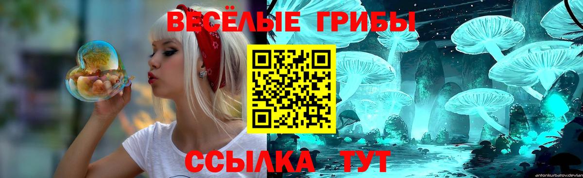 Псилоцибиновые грибы прущие грибы  Псилоцибиновые грибы прущие грибы  купить закладку  Санкт-Петербург  Вход с VPN 