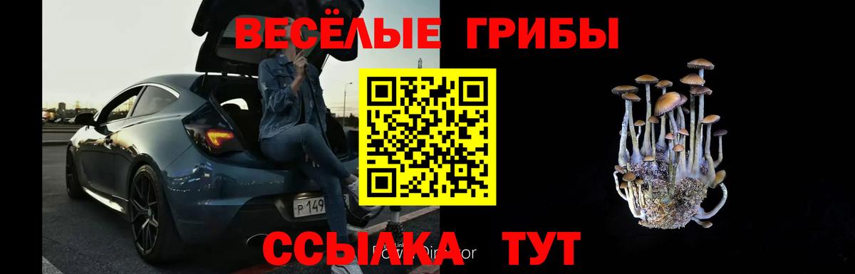Галлюциногенные грибы Cubensis Санкт-Петербург